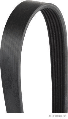 V-Ribbed Belt (J1061670)