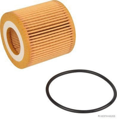 Oil Filter (J1310818)
