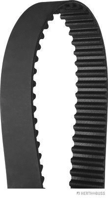 Timing Belt (J1128017)