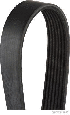 V-Ribbed Belt (J1071878)