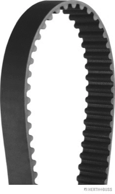 Timing Belt (J1123044)