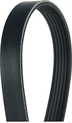 V-Ribbed Belt (J1062238)