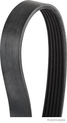 V-Ribbed Belt (J1061981)