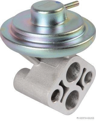 EGR Valve (J5690507)
