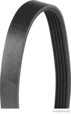 V-Ribbed Belt (J1051810)