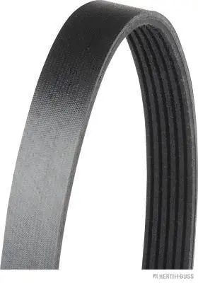 V-Ribbed Belt (J1062130)