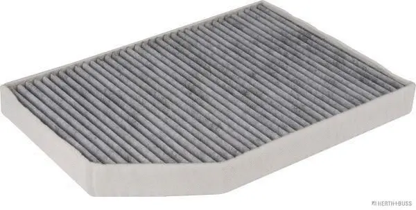 Filter, cabin air (J1342049)