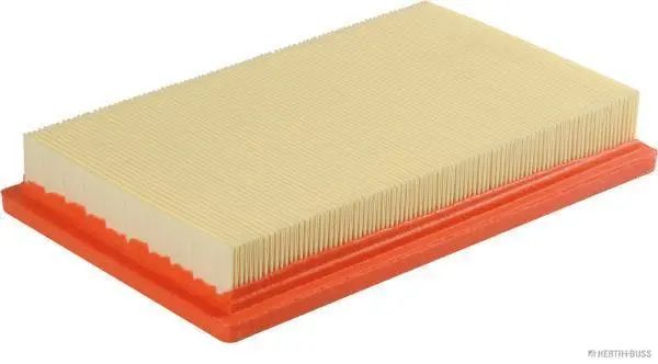 Air Filter (J1320529)