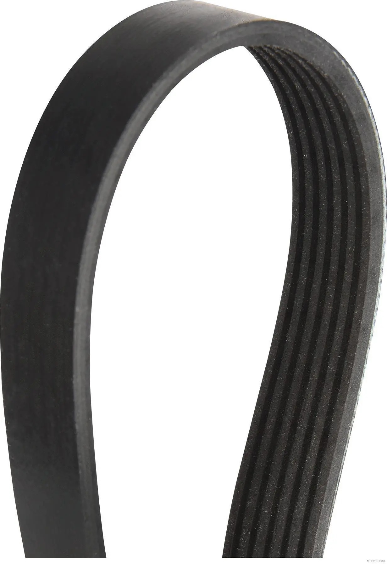 V-Ribbed Belt (J1060780)
