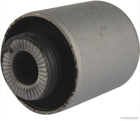 Mounting, control/trailing arm (J4200318)