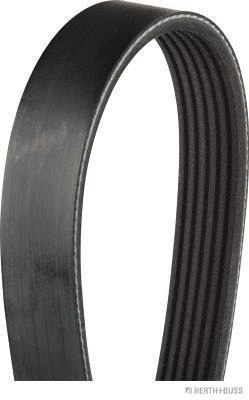 V-Ribbed Belt (J1061353)