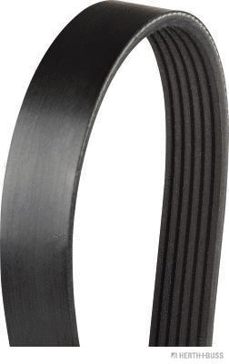 V-Ribbed Belt (J1061033)