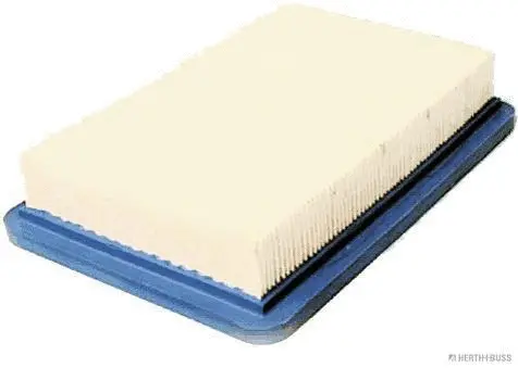 Air Filter (J1320501)