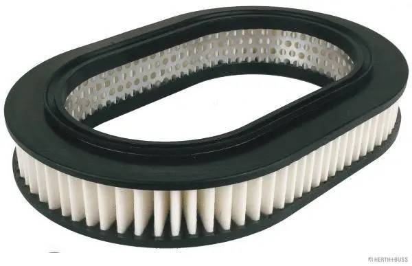 Air Filter (J1325012)