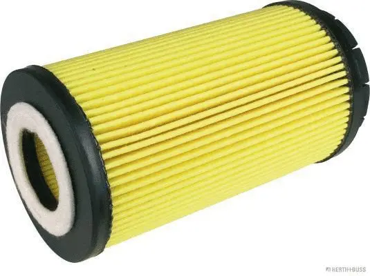 Oil Filter (J1310502)