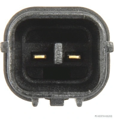 Brake Master Cylinder (J3104071)