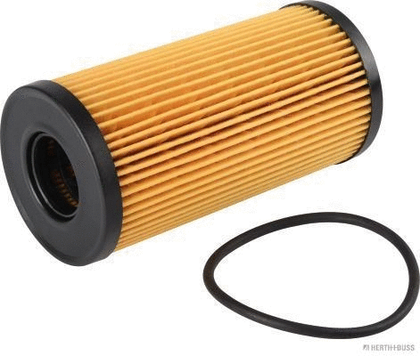 Oil Filter (J1311041)