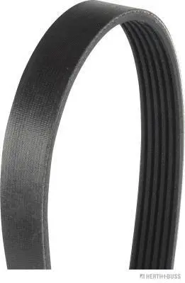 V-Ribbed Belt (J1060880)