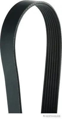 V-Ribbed Belt (J1071515)