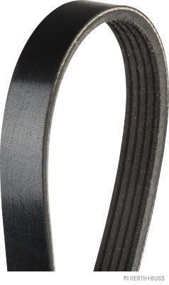 V-Ribbed Belt (J1051236)