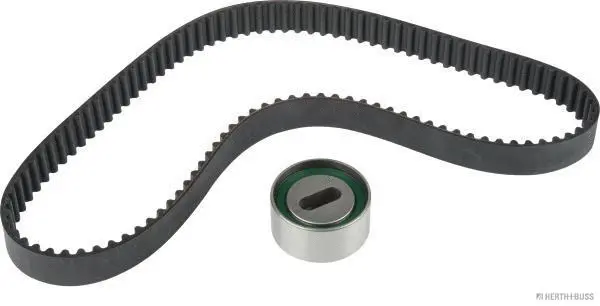 Timing Belt Kit (J1113001)