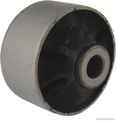 Mounting, control/trailing arm (J4200323)