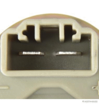 Fuel Pump (J1600511)