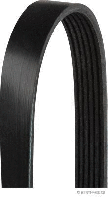 V-Ribbed Belt (J1062575)