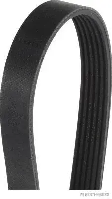 V-Ribbed Belt (J1061405)