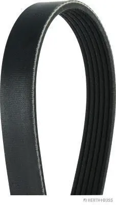 V-Ribbed Belt (J1061100)