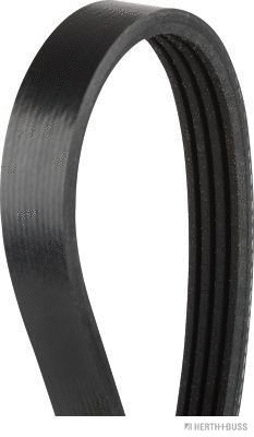 V-Ribbed Belt (J1040665)