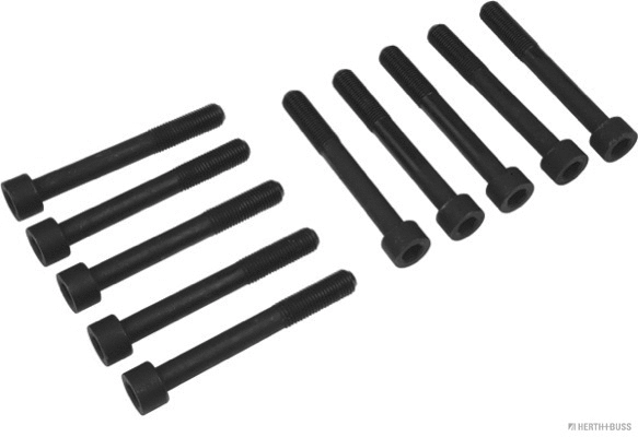 Cylinder Head Bolt Set (J1288008)