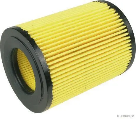 Oil Filter (J1310501)