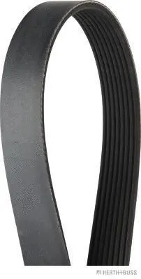 V-Ribbed Belt (J1081295)