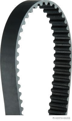 Timing Belt (J1120913)