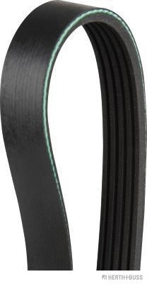 V-Ribbed Belt (J1051750)