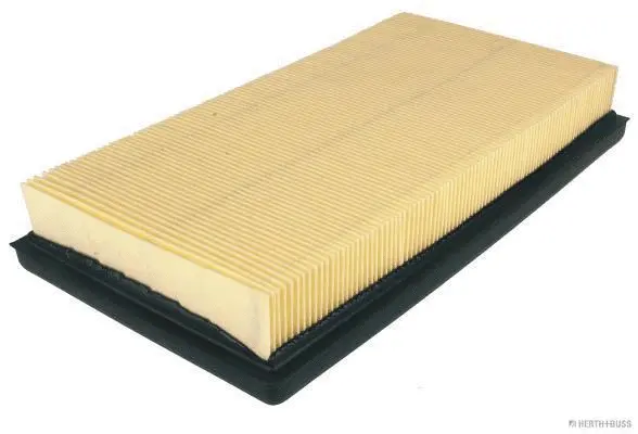 Air Filter (J1320310)