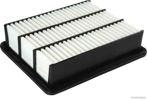Air Filter (J1323065)