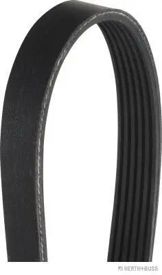 V-Ribbed Belt (J1061360)