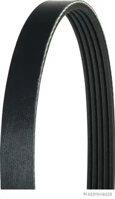 V-Ribbed Belt (J1051138)