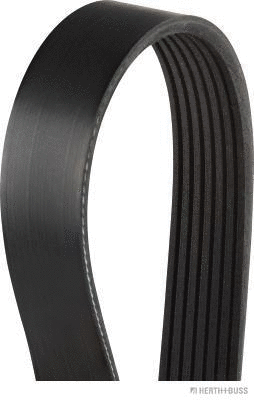 V-Ribbed Belt (J1071190)