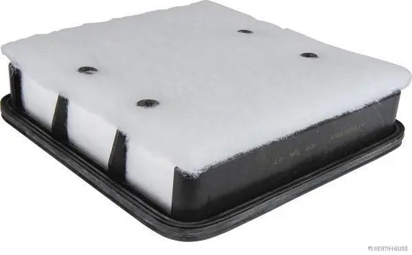 Air Filter (J1325053)