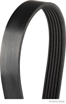 V-Ribbed Belt (J1060890)