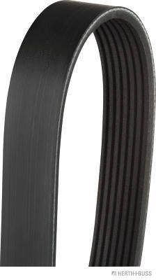 V-Ribbed Belt (J1071855)