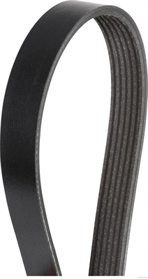 V-Ribbed Belt (J1061120)