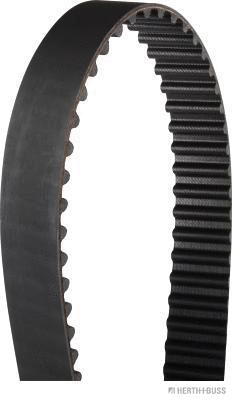 Timing Belt (J1128022)