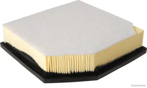 Air Filter (J1322087)