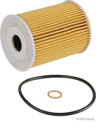 Oil Filter (J1310904)