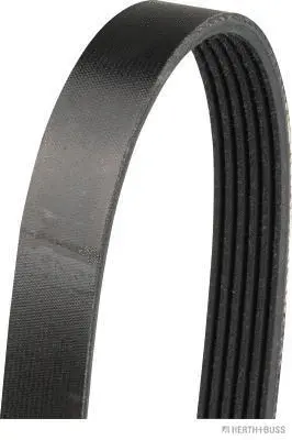 V-Ribbed Belt (J1061840)
