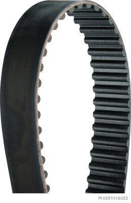 Timing Belt (J1125072)